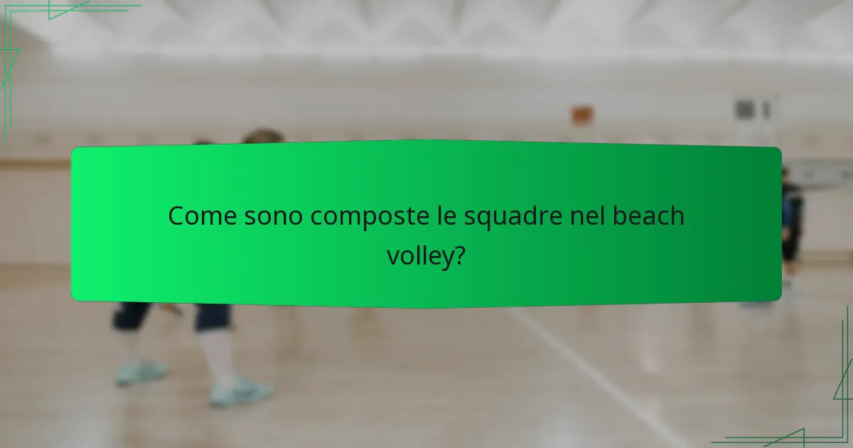 Come sono composte le squadre nel beach volley?